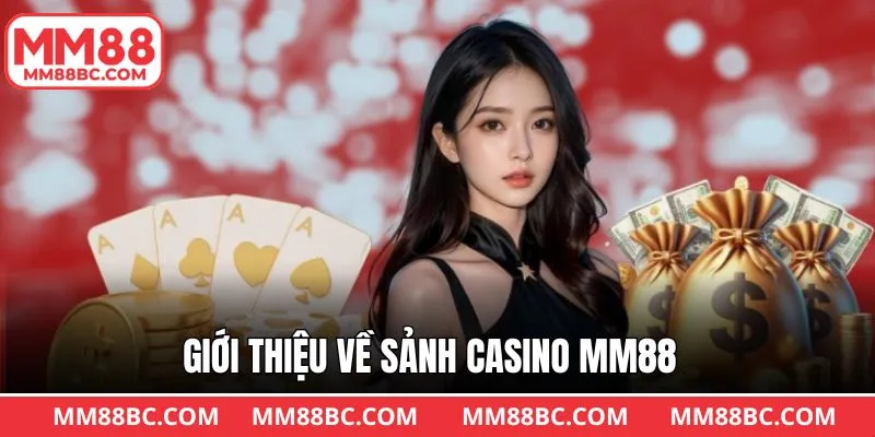 Khám phá những nét chính về danh mục được săn đón